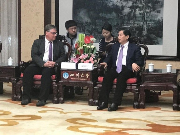 四虎